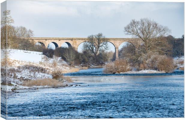 Roxburgh Viaduct over the Teviot River in winter snow, Scottish Borders Canvas Print by Dave Collins