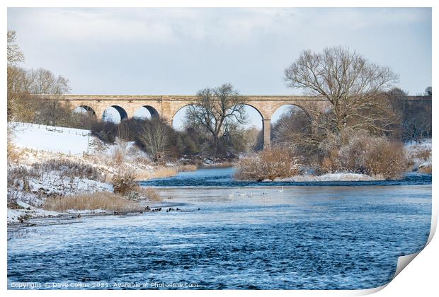 Roxburgh Viaduct over the Teviot River in winter snow, Scottish Borders Print by Dave Collins