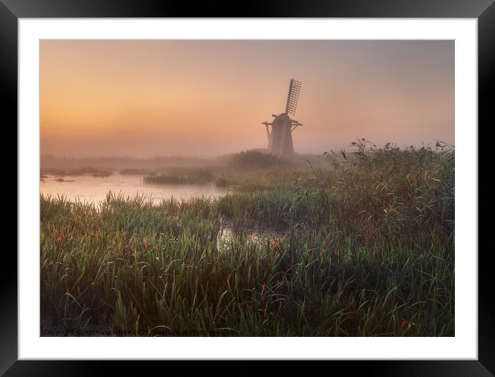 Herringfleet Windmill - Sunrise Framed Mounted Print by Anthony White