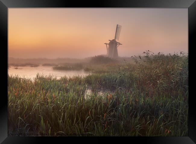 Herringfleet Windmill - Sunrise Framed Print by Anthony White