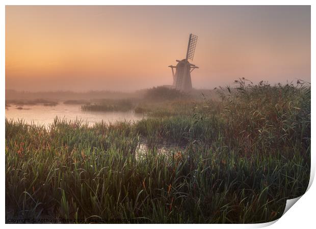 Herringfleet Windmill - Sunrise Print by Anthony White