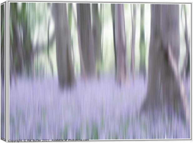Bluebell Wood Canvas Print by Pat Butler