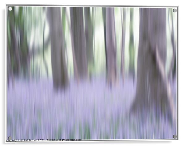 Bluebell Wood Acrylic by Pat Butler