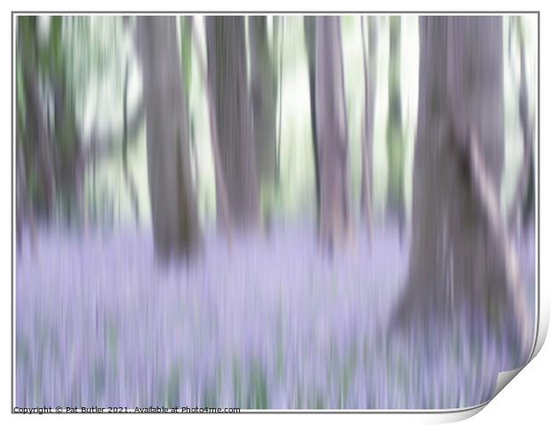 Bluebell Wood Print by Pat Butler