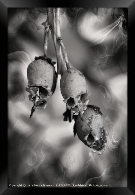 Spooky Snapdragon in B&W  Framed Print by Lady Debra Bowers L.R.P.S