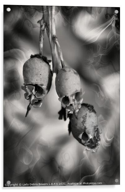 Spooky Snapdragon in B&W  Acrylic by Lady Debra Bowers L.R.P.S
