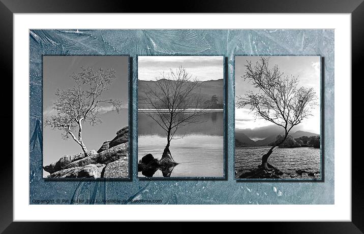 Three lonely trees. Framed Mounted Print by Pat Butler