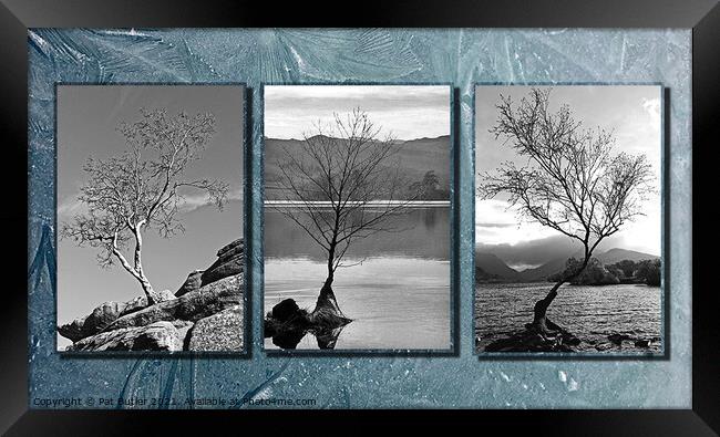 Three lonely trees. Framed Print by Pat Butler
