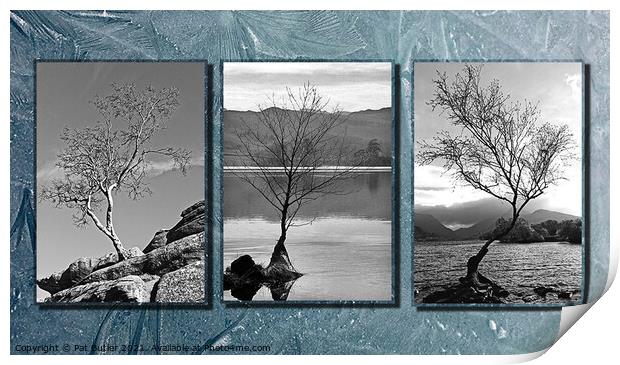 Three lonely trees. Print by Pat Butler