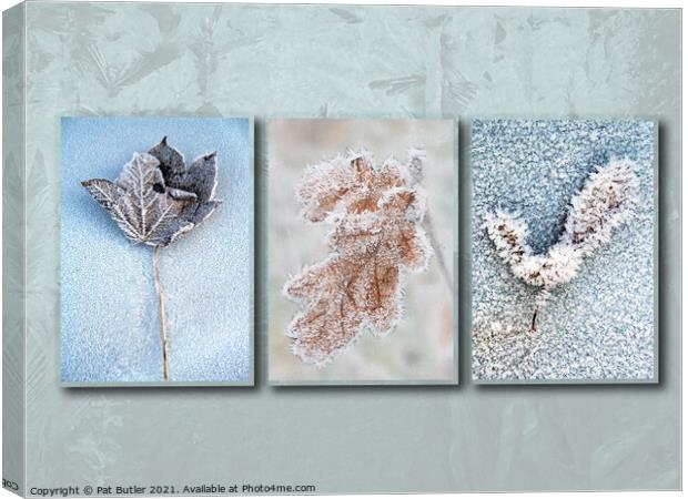 Frosty leaves Canvas Print by Pat Butler