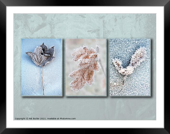 Frosty leaves Framed Mounted Print by Pat Butler
