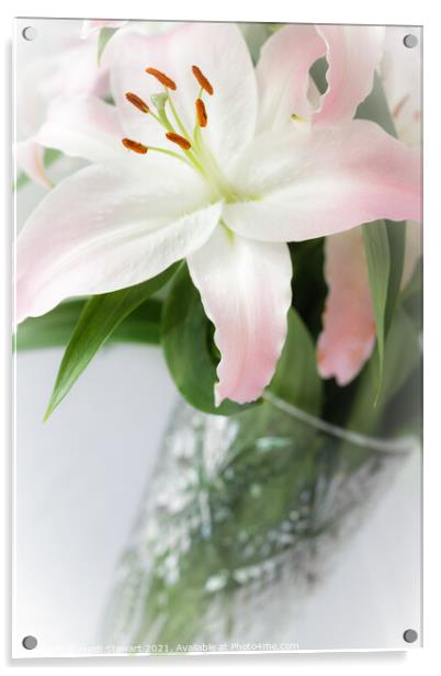 A Vase of Lillies Acrylic by Heidi Stewart