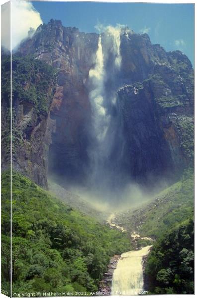 Angel Falls, Venezuela Canvas Print by Nathalie Hales