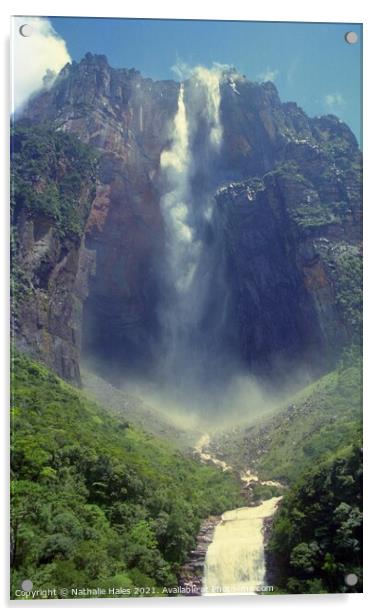 Angel Falls, Venezuela Acrylic by Nathalie Hales