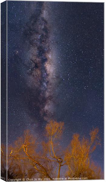 Galaxy, starry sky, and trees in winter, New Zealand Canvas Print by Chun Ju Wu