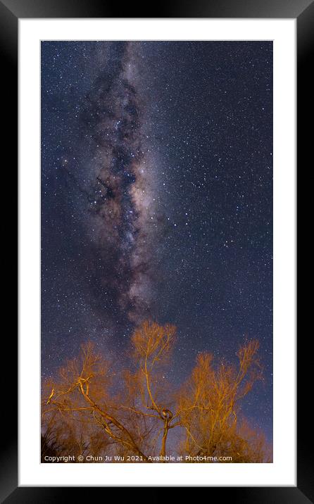 Galaxy, starry sky, and trees in winter, New Zealand Framed Mounted Print by Chun Ju Wu
