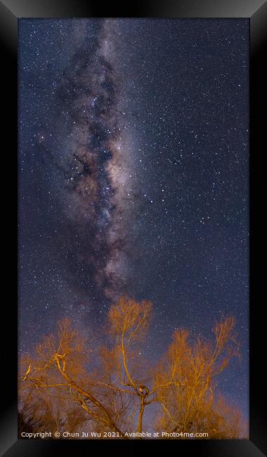 Galaxy, starry sky, and trees in winter, New Zealand Framed Print by Chun Ju Wu
