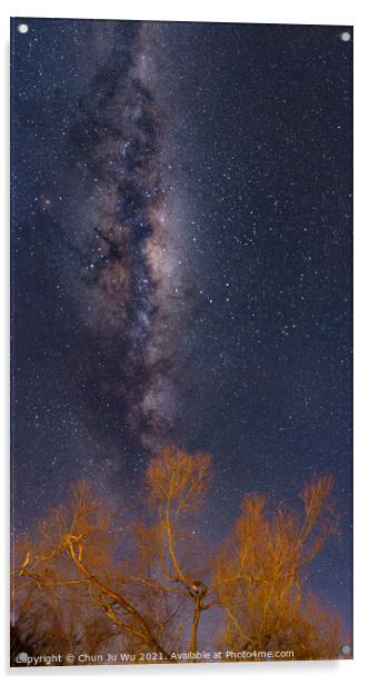 Galaxy, starry sky, and trees in winter, New Zealand Acrylic by Chun Ju Wu
