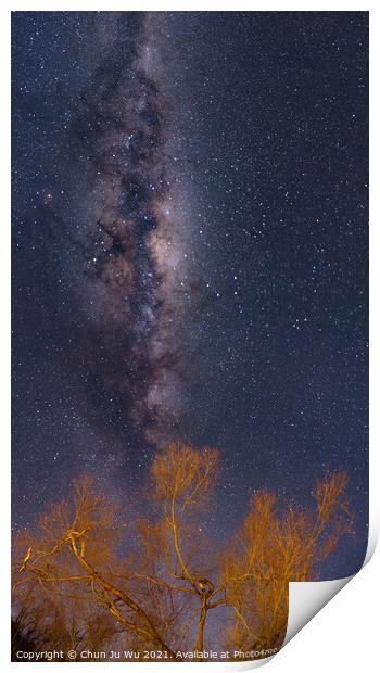 Galaxy, starry sky, and trees in winter, New Zealand Print by Chun Ju Wu