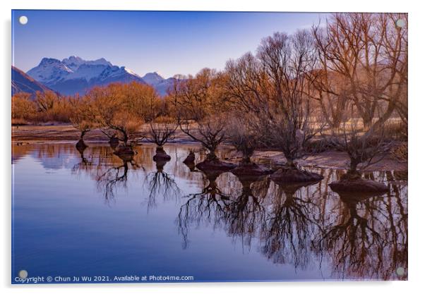 Reflection of trees on lake in winter in Glenorchy, New Zealand Acrylic by Chun Ju Wu