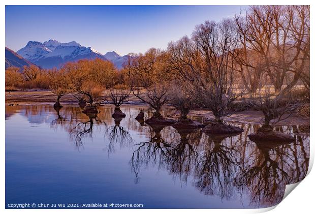 Reflection of trees on lake in winter in Glenorchy, New Zealand Print by Chun Ju Wu
