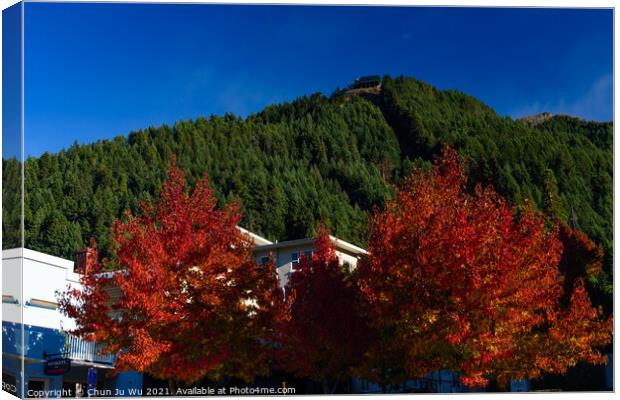 Red maple tree and Skyline in Queenstown, New Zealand Canvas Print by Chun Ju Wu