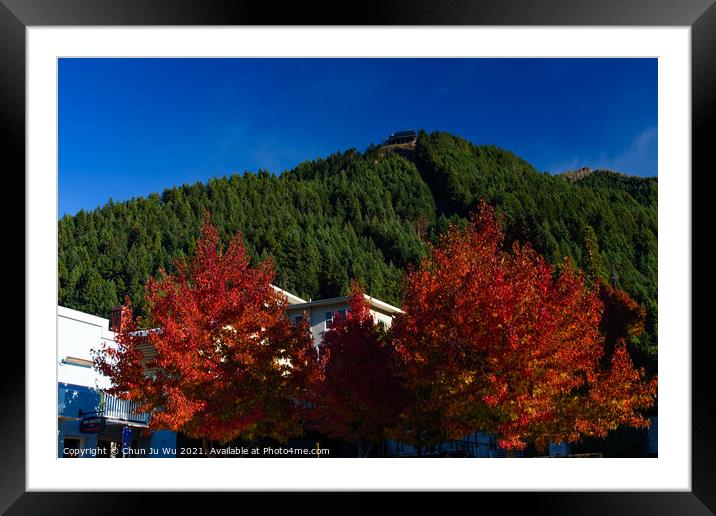 Red maple tree and Skyline in Queenstown, New Zealand Framed Mounted Print by Chun Ju Wu