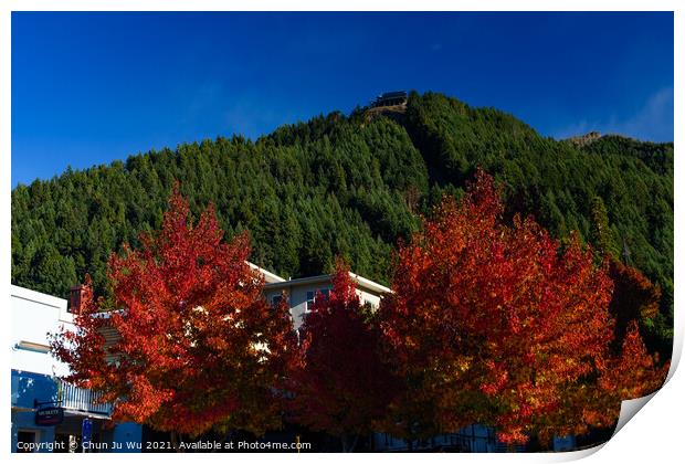 Red maple tree and Skyline in Queenstown, New Zealand Print by Chun Ju Wu
