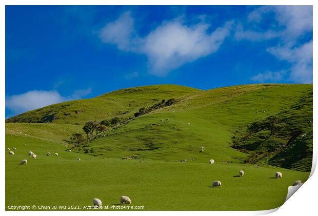 A herd of sheep grazing on a lush green field in New Zealand Print by Chun Ju Wu