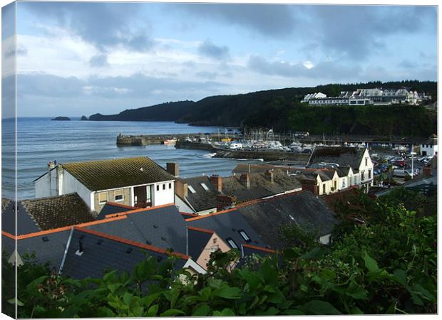 Stormy Saundersfoot Seascapes Canvas Print by Steve Purnell