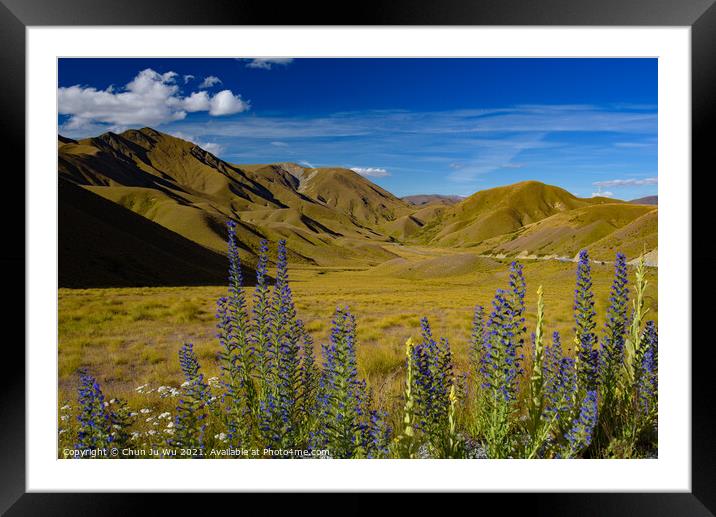 Landscape of South Island with lupine flowers in New Zealand Framed Mounted Print by Chun Ju Wu