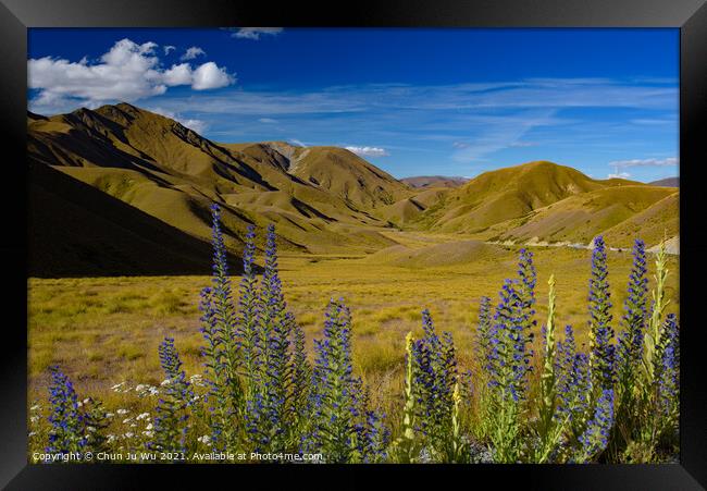 Landscape of South Island with lupine flowers in New Zealand Framed Print by Chun Ju Wu