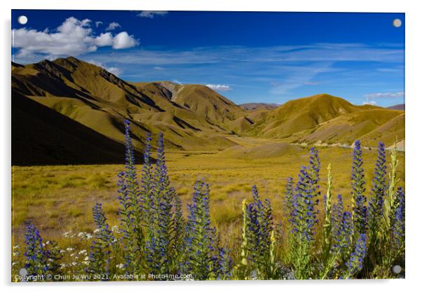 Landscape of South Island with lupine flowers in New Zealand Acrylic by Chun Ju Wu