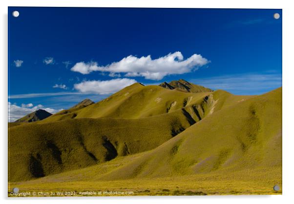 Green hill with blue sky, landscape of South Island, New Zealand Acrylic by Chun Ju Wu