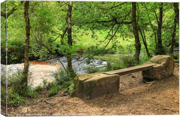 A seat by Hebden Water Yorkshire Canvas Print by Diana Mower