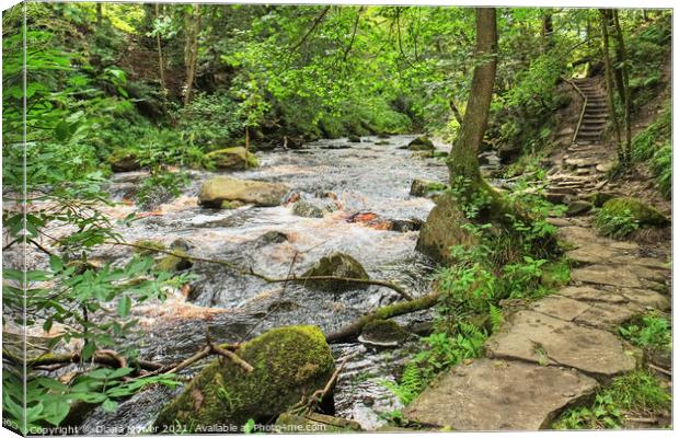 River walk near Hardcastle Crags Canvas Print by Diana Mower