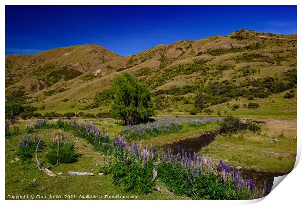 Landscape of South Island with lupine flowers in New Zealand Print by Chun Ju Wu