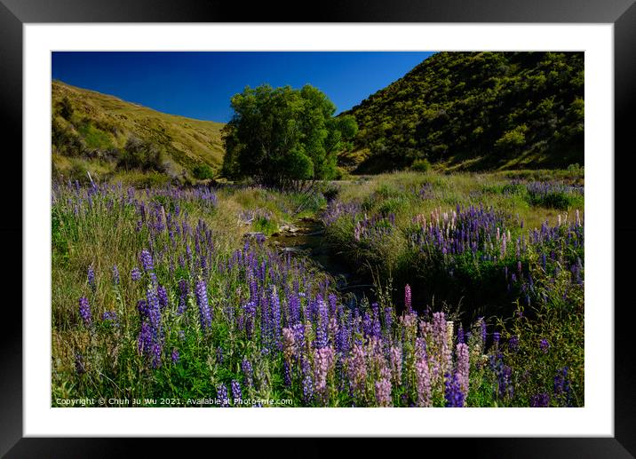 Landscape of South Island with lupine flowers in New Zealand Framed Mounted Print by Chun Ju Wu