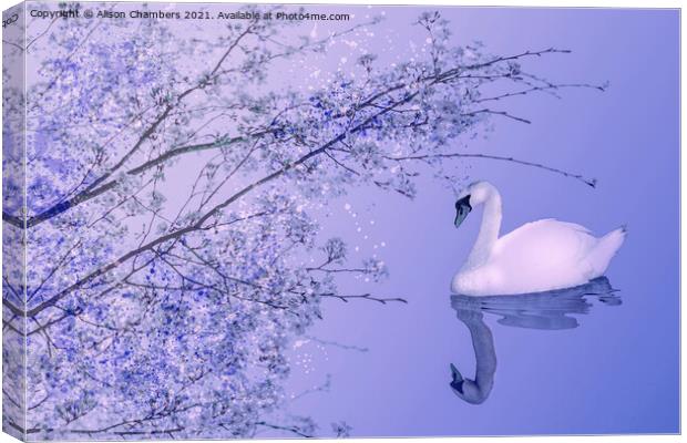 Blossom Swan Canvas Print by Alison Chambers