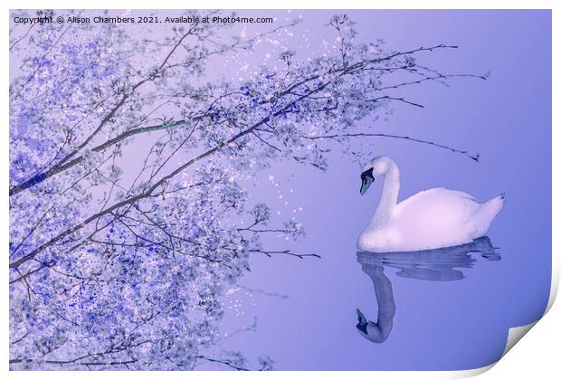 Blossom Swan Print by Alison Chambers