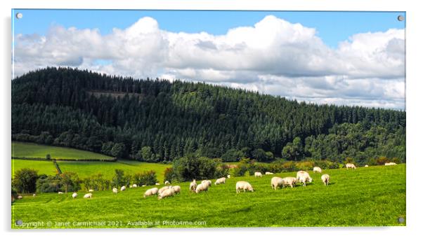 Fluffy Clouds, Fluffy Sheep Acrylic by Janet Carmichael