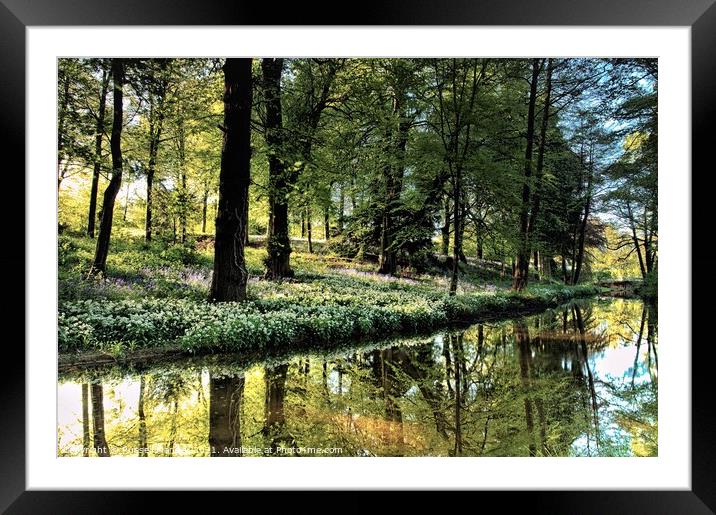 WALK BY THE RIVER Framed Mounted Print by Russell Mander