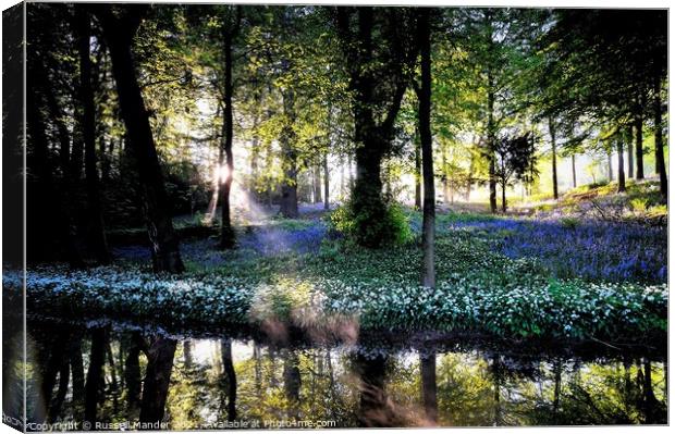 BLUEBELL SUNRISE  Canvas Print by Russell Mander