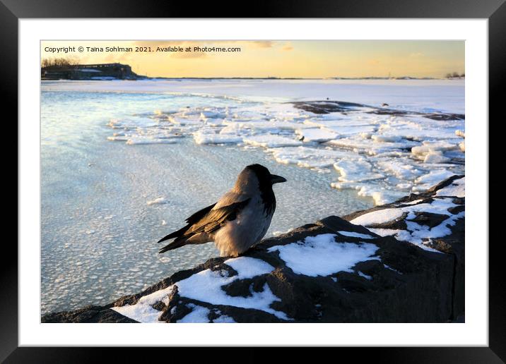 Watching the Sea Ice Drift Framed Mounted Print by Taina Sohlman
