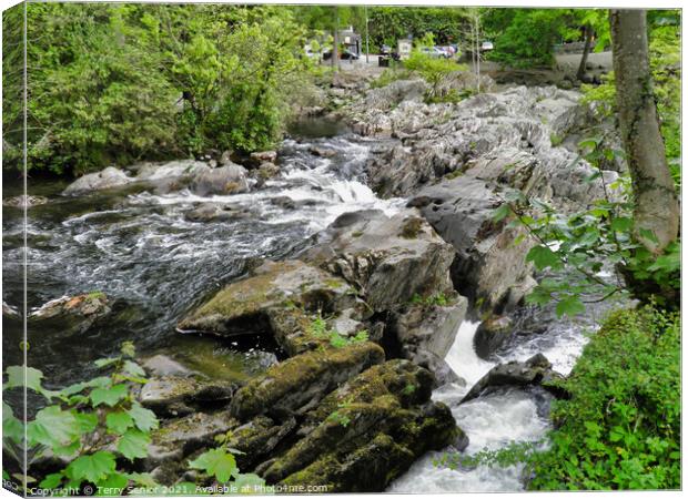 A waterfall in a forest at Betws-y-Coed Canvas Print by Terry Senior