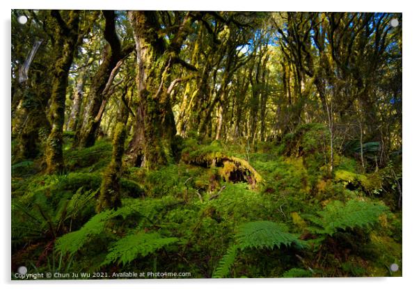 View of woods in South Island, New Zealand Acrylic by Chun Ju Wu
