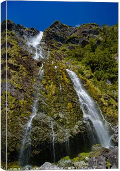 A waterfall in South Island, New Zealand Canvas Print by Chun Ju Wu