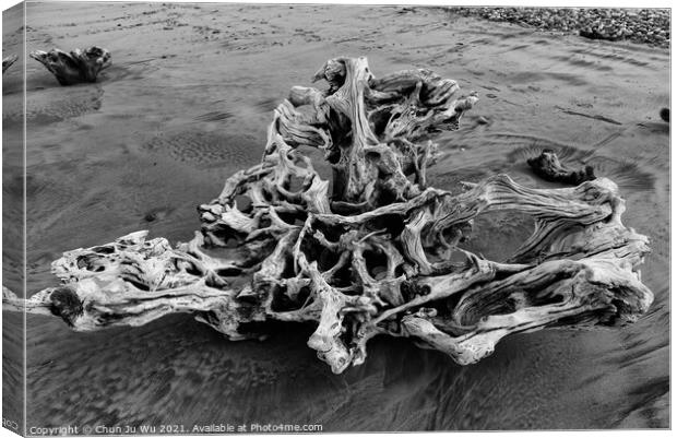 A piece of driftwood on beach (black and white) Canvas Print by Chun Ju Wu