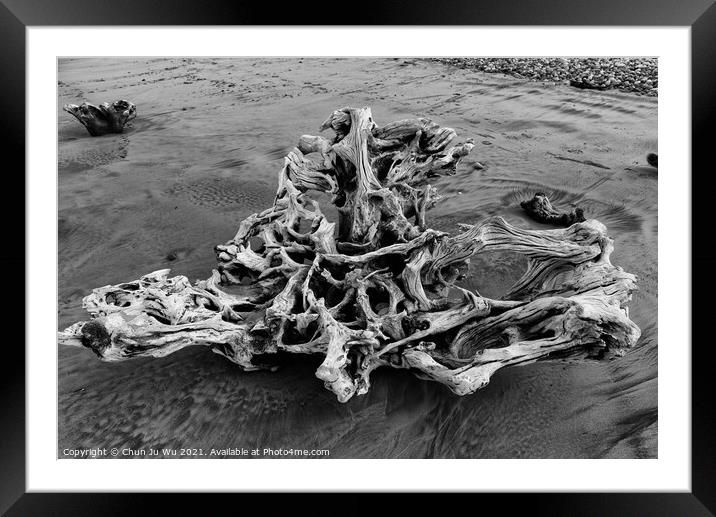 A piece of driftwood on beach (black and white) Framed Mounted Print by Chun Ju Wu