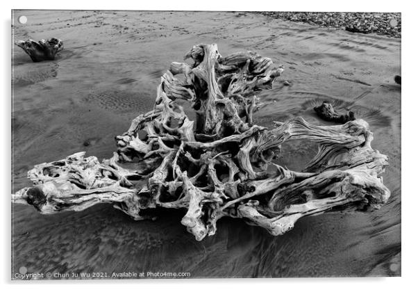 A piece of driftwood on beach (black and white) Acrylic by Chun Ju Wu